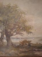Rivierbocht in de Ijssel bij De Steeg (Theo Goedvriend), Ophalen of Verzenden
