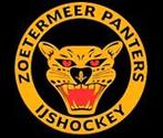 Ijshockeywedstrijd tickets Zoetermeer panters tegen Dragons, Twee personen, Oktober