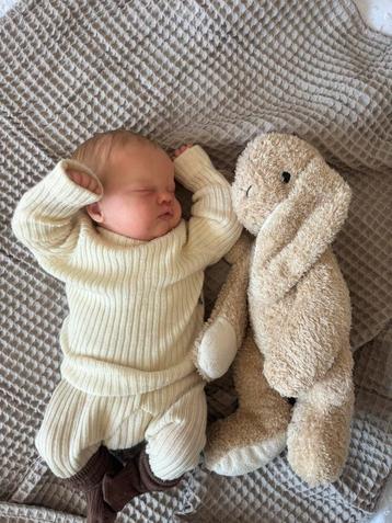 Reborn Quinbee  beschikbaar voor biedingen