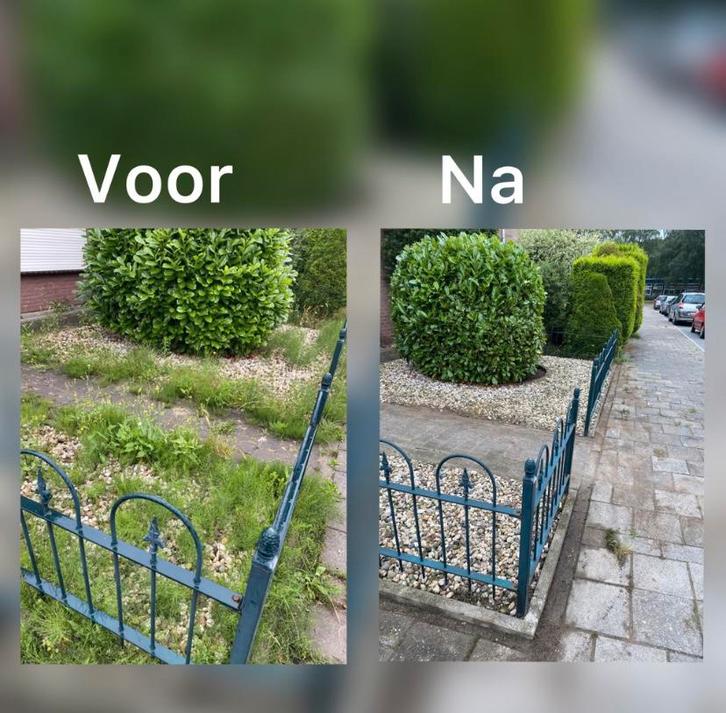 Bent u op zoek naar een tuinman?stuur mij gerust een bericht, Tuin en Terras, Planten | Struiken en Hagen, Ophalen of Verzenden