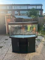 Juwel aquarium (Bieden. niet vragen naar mijn laagste prijs), Dieren en Toebehoren, Ophalen, Gebruikt, Leeg aquarium