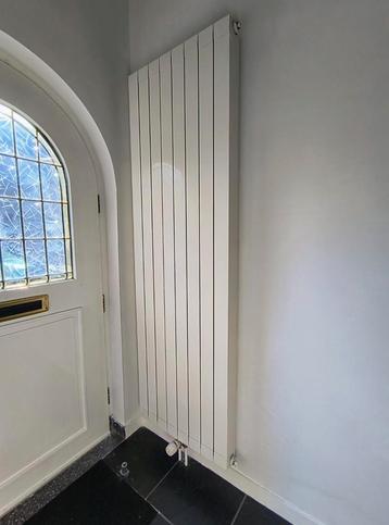 Verticale paneelradiator / designradiator 63x205 beschikbaar voor biedingen