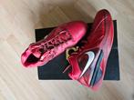 Nike, Sport en Fitness, Basketbal, Ophalen of Verzenden, Gebruikt, Schoenen