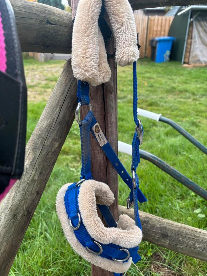 Diverse Shetlander training spullen, Dieren en Toebehoren, Paarden en Pony's | Hoofdstellen en Tuigage, Zo goed als nieuw, Overige soorten
