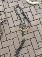 Oranje zwart touw halster met steentjes op neus, Dieren en Toebehoren, Paarden en Pony's | Hoofdstellen en Tuigage, Ophalen of Verzenden