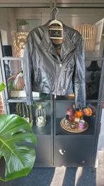 Goldbergh leren jas, maat 38/M, zgan, Kleding | Dames, Jasjes, Kostuums en Pakken, Maat 38/40 (M), Ophalen of Verzenden, Zo goed als nieuw