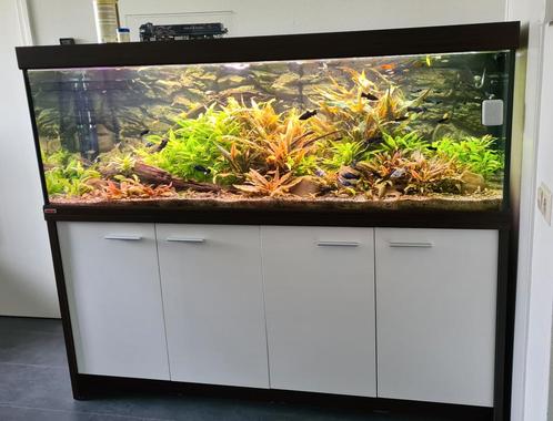 Eheim aqaurium, Dieren en Toebehoren, Vissen | Aquaria en Toebehoren, Filter of Co2, Ophalen