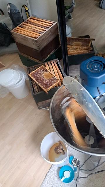 honing beschikbaar voor biedingen