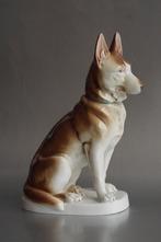 porseleinen herdershond Carl Scheidig Gräfenthal 25cm hoog., Ophalen of Verzenden, Gebruikt, Dier