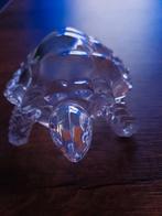 Glazen schildpad, Ophalen of Verzenden, Zo goed als nieuw, Dier