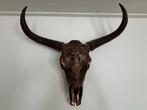 Decoratieve buffel schedel brons goud., Huis en Inrichting, Ophalen of Verzenden, Zo goed als nieuw