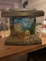 Aquarium SuperFish Aqua 60, Ophalen, Zo goed als nieuw, Leeg aquarium