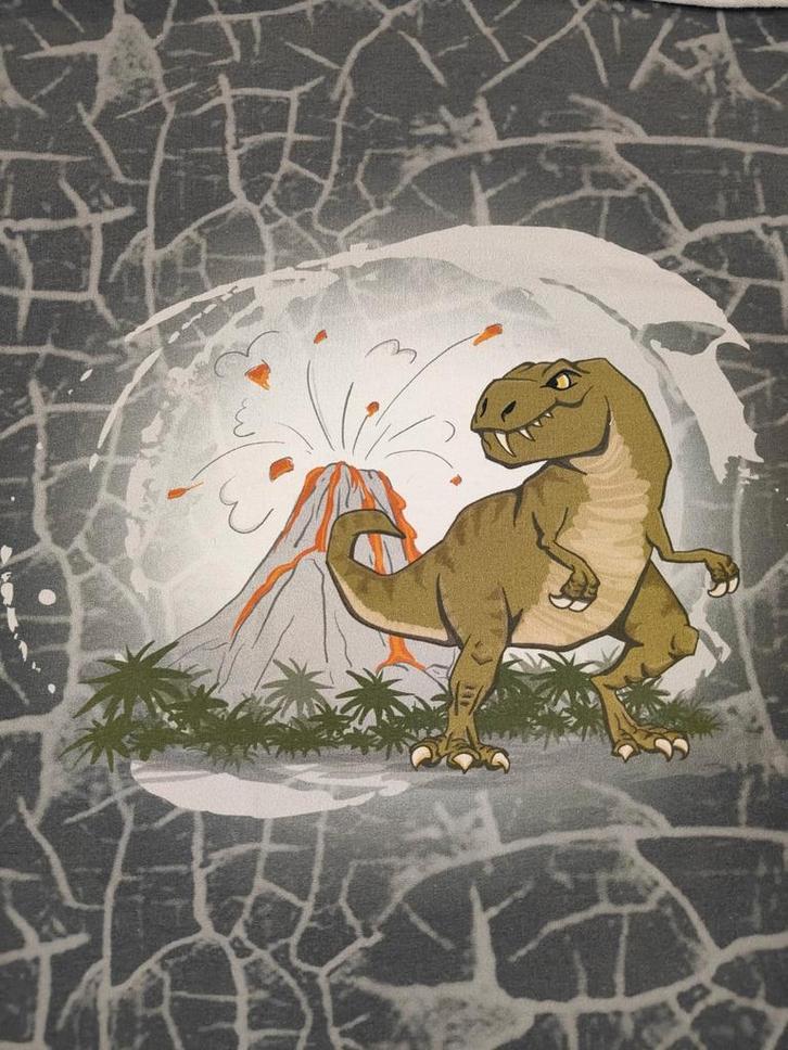 French Terry dino paneel, Hobby en Vrije tijd, Stoffen en Lappen, Nieuw, Katoen, 120 cm of meer, 30 tot 200 cm, Ophalen of Verzenden