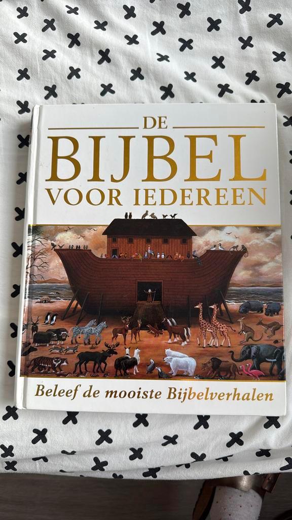 Andrea Mills - De Bijbel voor iedereen, Boeken, Kinderboeken | Jeugd | onder 10 jaar, Zo goed als nieuw, Ophalen of Verzenden