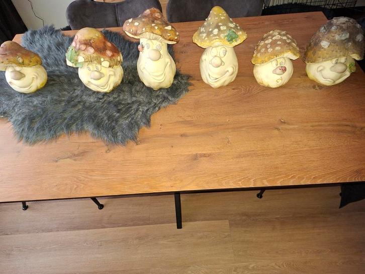 6 Grappige Paddenstoel Beelden, Verzamelen, Beelden en Beeldjes, Nieuw, Ophalen