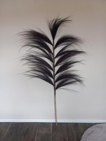 Decoratie pluim beschikbaar voor biedingen
