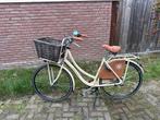 Sparta Country Tour Damesfiets met Mand, Fietsen en Brommers, Fietsen | Dames | Damesfietsen, Sparta, Ophalen of Verzenden, 53 tot 56 cm