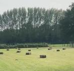 Hooi baaltjes klein, Dieren en Toebehoren, Dierenvoeding, Ophalen, Vee