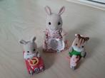 Sylvanian families 5040 moeder konijn, driewieler, mini auto, Kinderen en Baby's, Ophalen of Verzenden, Zo goed als nieuw, Overige typen