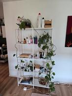 Witte metalen open kast met glazen legplanken, Ophalen, Zo goed als nieuw, 150 tot 200 cm, 25 tot 50 cm