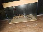 Te Koop aangeboden  terrarium, Dieren en Toebehoren, Reptielen en Amfibieën | Toebehoren, Ophalen