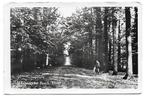 Ulvenhout Bos Dreef Oude Gelopen Ansichtkaart ( B1001 ), Ophalen of Verzenden, 1960 tot 1980, Gelopen