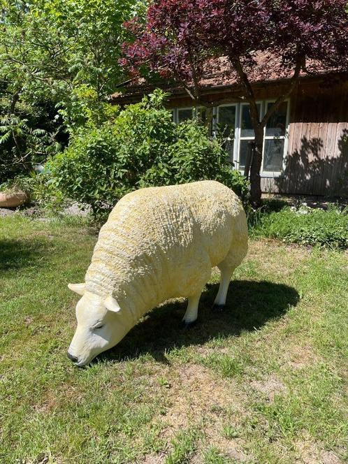 (Tuin)Beeld texel schaap, tuin, boerderij, gazon 75 cm, Tuin en Terras, Tuinbeelden, Nieuw, Dierenbeeld, Kunststof, Ophalen