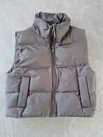 Cropped bodywarmer zara maat S/M zwart, Nieuw, Ophalen of Verzenden, Maat 36 (S), Zara