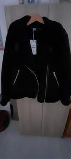 Nieuwe zwarte zara biker winterjas teddy gevoerd mt L, Zara, Ophalen of Verzenden, Nieuw, Zwart