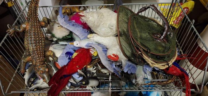 Bak vol dieren – vissen & vogels (decoratie), Diversen, Schoolbenodigdheden, Gebruikt, Ophalen of Verzenden