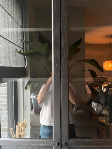 Billy/oxberg boekenkast IKEA - afbeelding 4