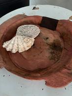 Oude houten bak met originele oude reparatie!, Antiek en Kunst, Ophalen