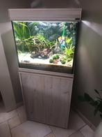 Aquatlantis aquarium compleet, Ophalen, Zo goed als nieuw, Gevuld zoetwateraquarium