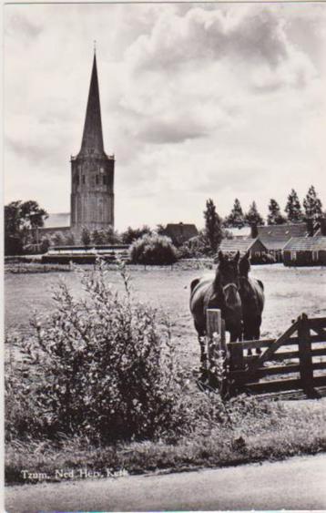 Tzum, nh kerk met Paarden