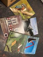 DSM Jaar Kalenders Limburg - Verzameling, Ophalen of Verzenden, Gelezen, Catalogus