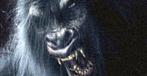 Een monster in 'Sasquatch Hunters', Vanaf 16 jaar, Ophalen of Verzenden, Zo goed als nieuw, Monsters