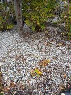 Grind, gratis, Tuin en Terras, Grind, Keien en Split, Ophalen, Gebruikt, Wit, Grind