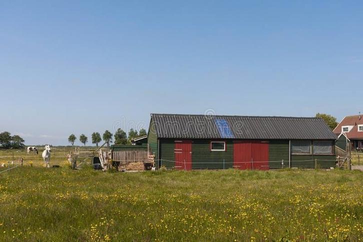 Weiland met stallen gezocht Halderberge of Rucphen, Dieren en Toebehoren, Stalling en Weidegang, Stalling, Weidegang, 4 paarden of pony's of meer