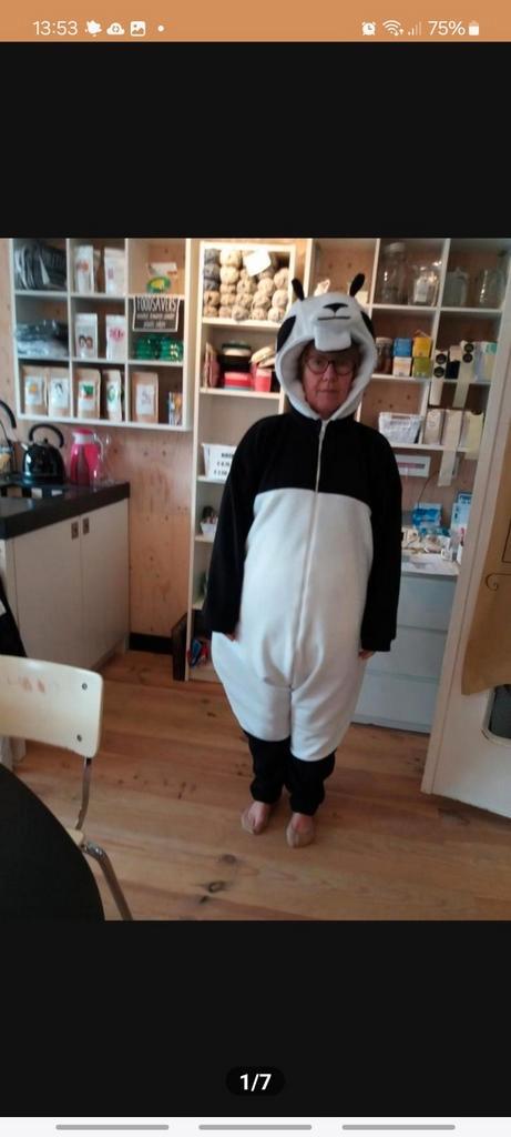 Kung fu Panda pak L, Kleding | Heren, Carnavalskleding en Feestkleding, Zo goed als nieuw, Ophalen of Verzenden