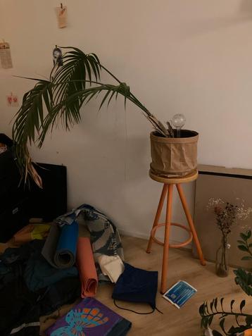 plantenkruk of barkruk beschikbaar voor biedingen