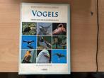 Coomber - Vogels Rebo foto-encyclopedie, Ophalen of Verzenden, Vogels, Zo goed als nieuw, Coomber