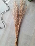 Droogbloemen, nieuw, Huis en Inrichting, Ophalen of Verzenden, Nieuw