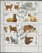 Katten State of Oman, Postzegels en Munten, Postzegels | Thematische zegels, Verzenden, Gestempeld, Dier of Natuur