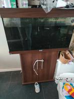 Aqarium, Dieren en Toebehoren, Vissen | Aquaria en Toebehoren, Ophalen, Leeg aquarium