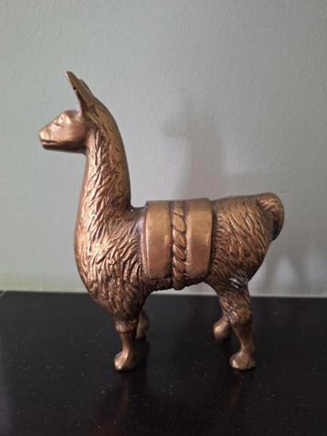 Messing lama beschikbaar voor biedingen