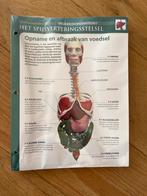 Biologie kaarten middelbare school, Diversen, Schoolbenodigdheden, Ophalen