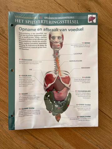 Biologie kaarten middelbare school beschikbaar voor biedingen