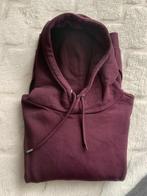 Hoodie trui met capuchon (Sting b.v ), Kleding | Heren, Truien en Vesten, Ophalen of Verzenden, Zo goed als nieuw, Grijs
