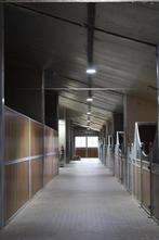 Pensionstal/ stal te huur/ half pension /vol pension, Dieren en Toebehoren, Stalling en Weidegang, Stalling, 4 paarden of pony's of meer