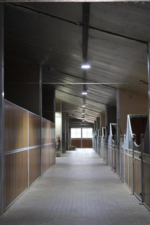 Pensionstal/ stal te huur/ half pension /vol pension, Dieren en Toebehoren, Stalling en Weidegang, Stalling, 4 paarden of pony's of meer